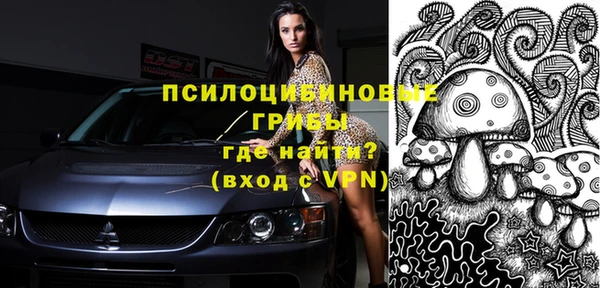 мет Осинники