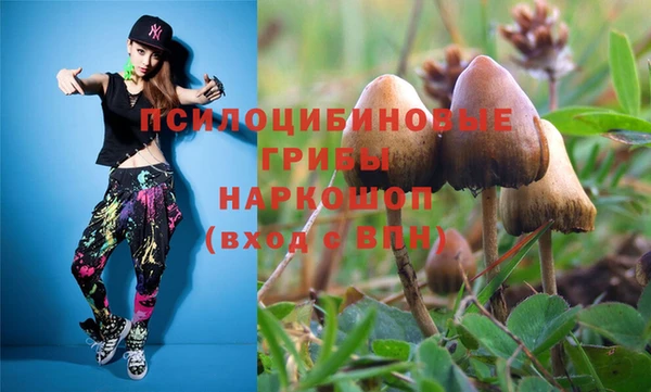 MDMA Premium VHQ Нязепетровск