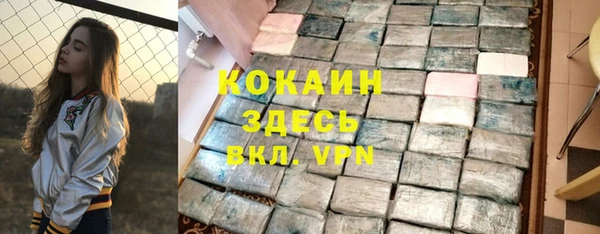 спиды Няндома