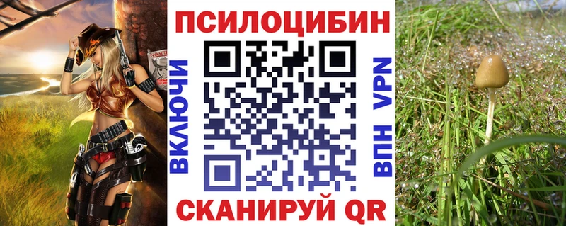 MEGA ТОР  Покров  Галлюциногенные грибы GOLDEN TEACHER 
